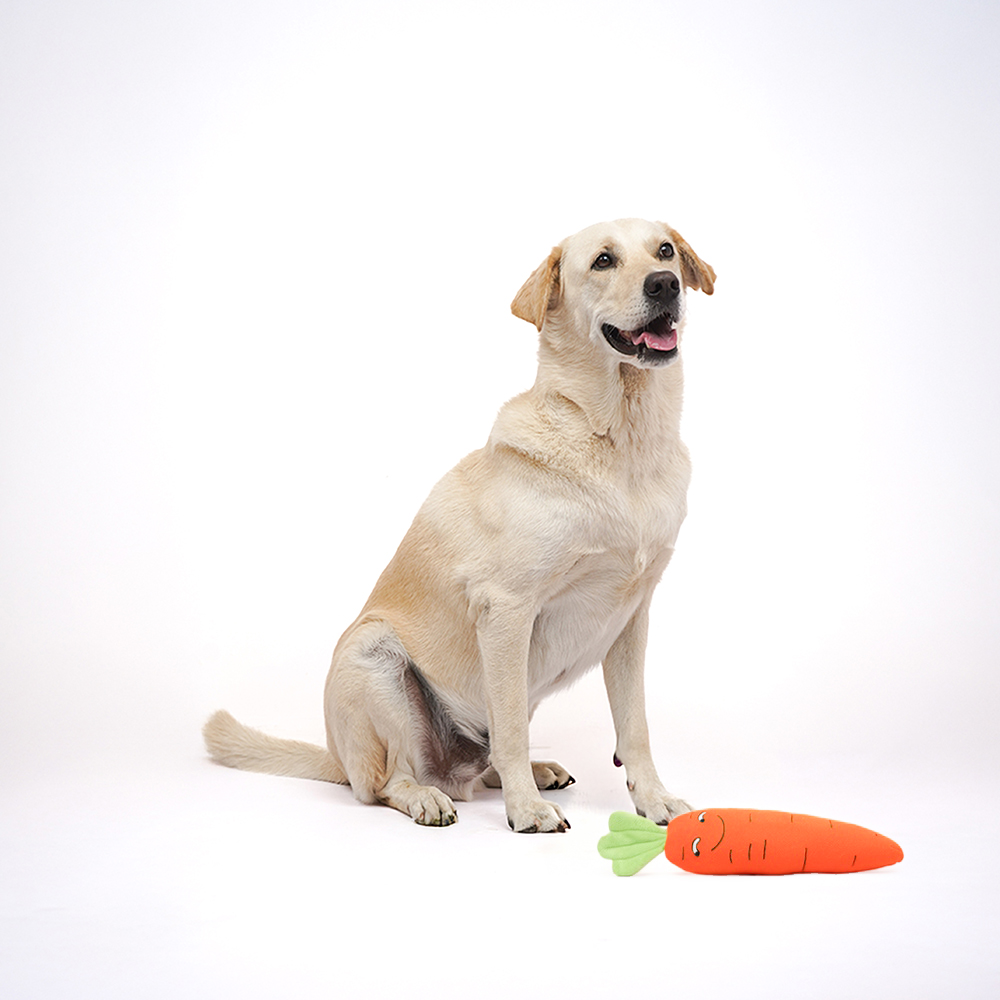 Skatrs Carrot Plush Toy for Dogs and Cats Both-Toys Skatrs