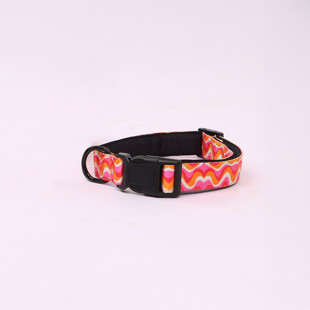 Skatrs Pop Groove Collar for Dogs & Cats Both-Collar, Leashes, harnesses Skatrs L:18-26 in Neck