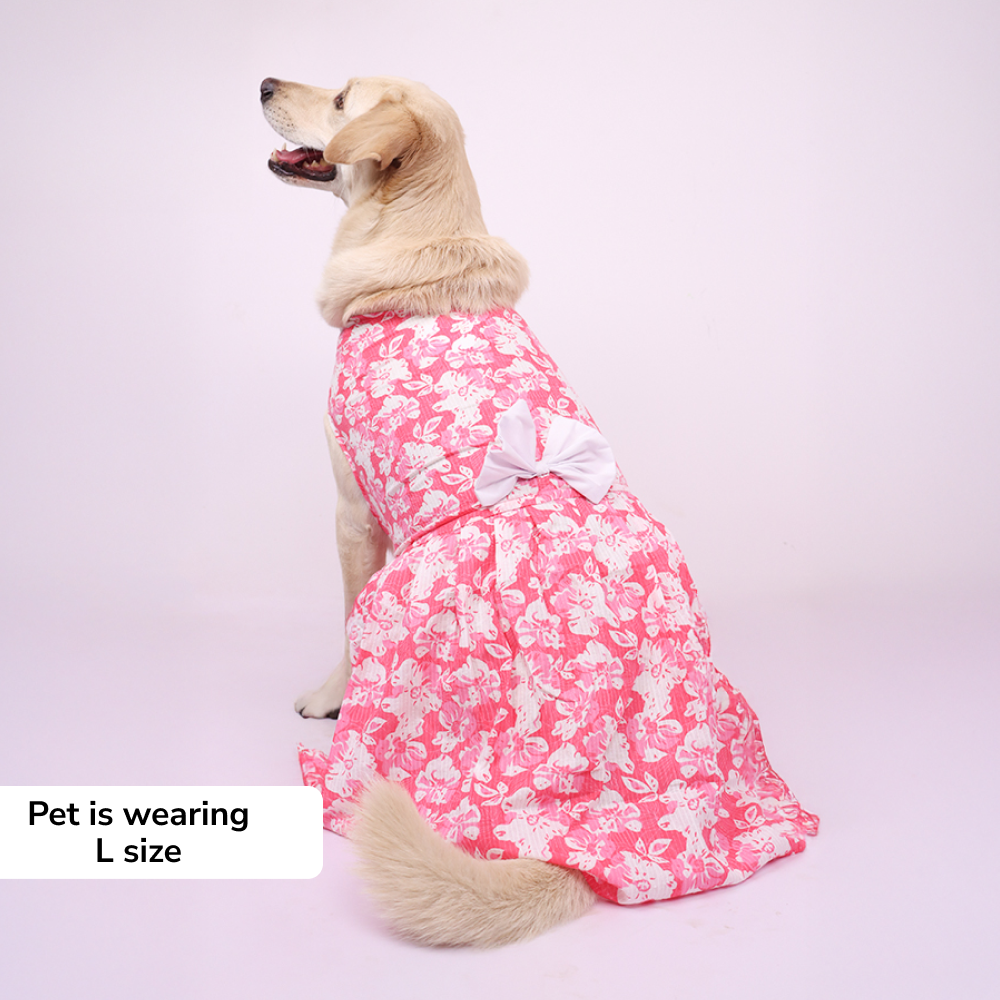 Skatrs Floral Grace Dress for Dogs and Cats (Pink) Both-Clothing & Accessories Skatrs