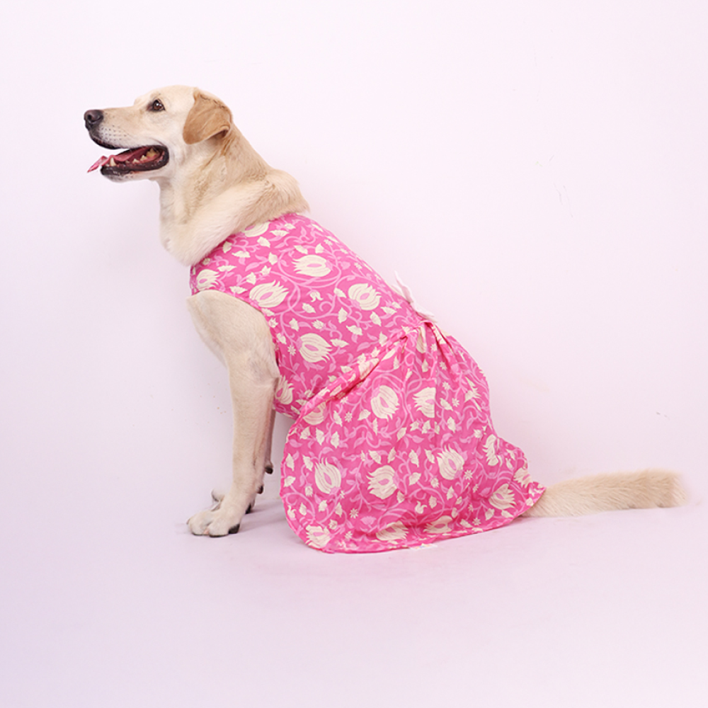 Skatrs Petal Charm Dress for Dogs and Cats Both-Clothing & Accessories Skatrs XXL