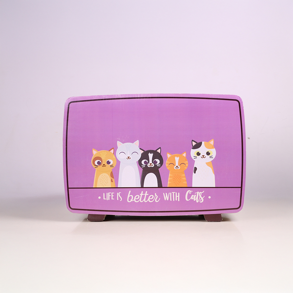Skatrs TV Scratcher Toy for Cats