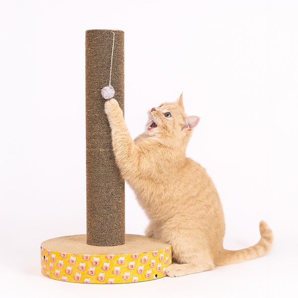 Skatrs Pole Scratcher Toy for Cats