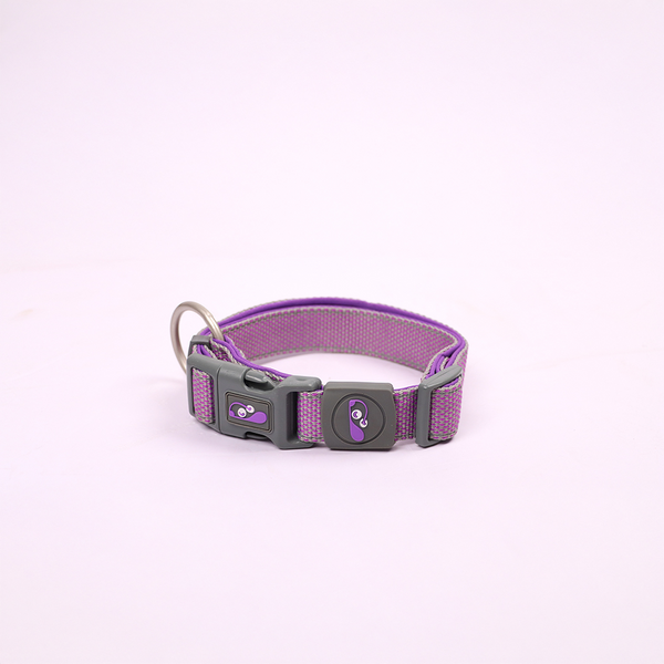 Skatrs Adjustable Collar for Dogs and Cats (Purple)