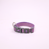 Skatrs Adjustable Collar for Dogs and Cats (Purple) Both-Collar, Leashes, harnesses Skatrs S:11-14 in Neck