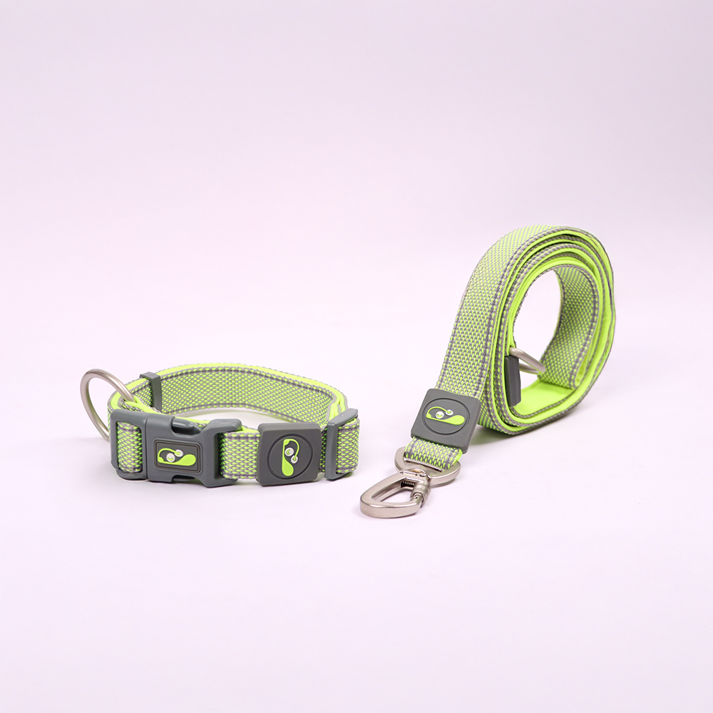 Skatrs Adjustable Collar for Dogs and Cats (Neon Green) Both-Collar, Leashes, harnesses Skatrs
