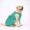 Skatrs Brocade Gold Printed Dress for Dogs and Cats (Teal) Both-Clothing & Accessories Skatrs XS