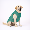 Skatrs Brocade Gold Printed Sherwani for Dogs and Cats (Teal) Both-Clothing & Accessories Skatrs XS