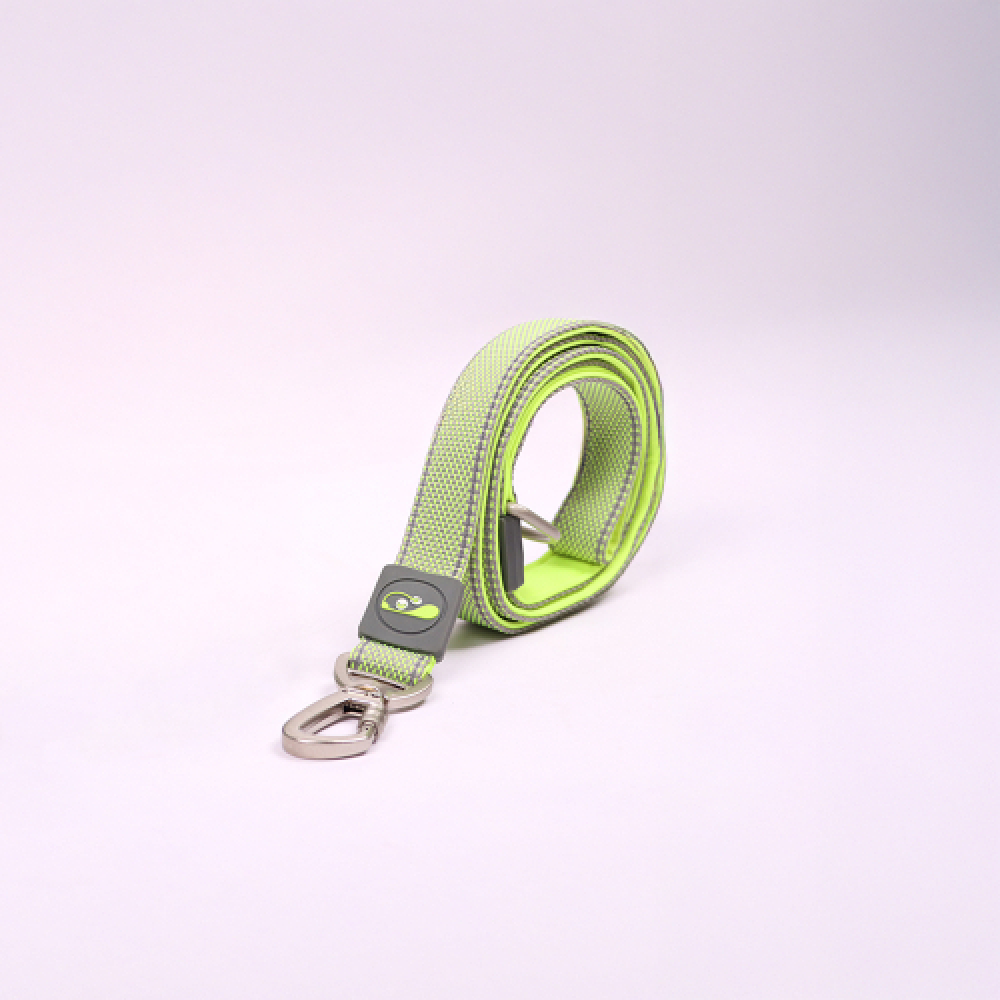 Skatrs Leash for Dogs and Cats (Neon Green) Both-Collar, Leashes, harnesses Skatrs S:11-14 in Neck