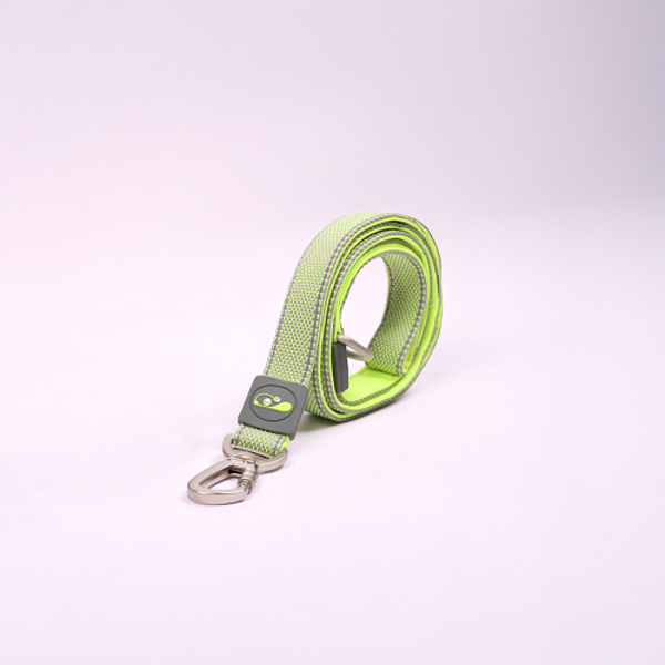 Skatrs Leash for Dogs and Cats (Neon Green)
