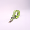 Skatrs Leash for Dogs and Cats (Neon Green) Both-Collar, Leashes, harnesses Skatrs S:11-14 in Neck