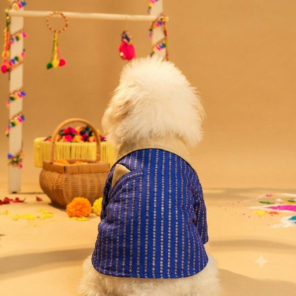 15 Furries Furwali Festival Kurta with Dupatta for Dogs (Royal Blue)