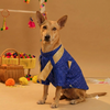 15 Furries Furwali Festival Kurta with Dupatta for Dogs (Royal Blue) Dogs-Clothing & Accessories 15 Furries Dropship