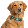 Ruffwear Front Range Collar for Dogs (Aurora Teal) Dogs-Collar, Leashes, harnesses Ruffwear Dropship