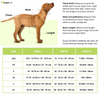 Ruffwear Float Coat Life Jacket for Dogs (Blue Dusk)