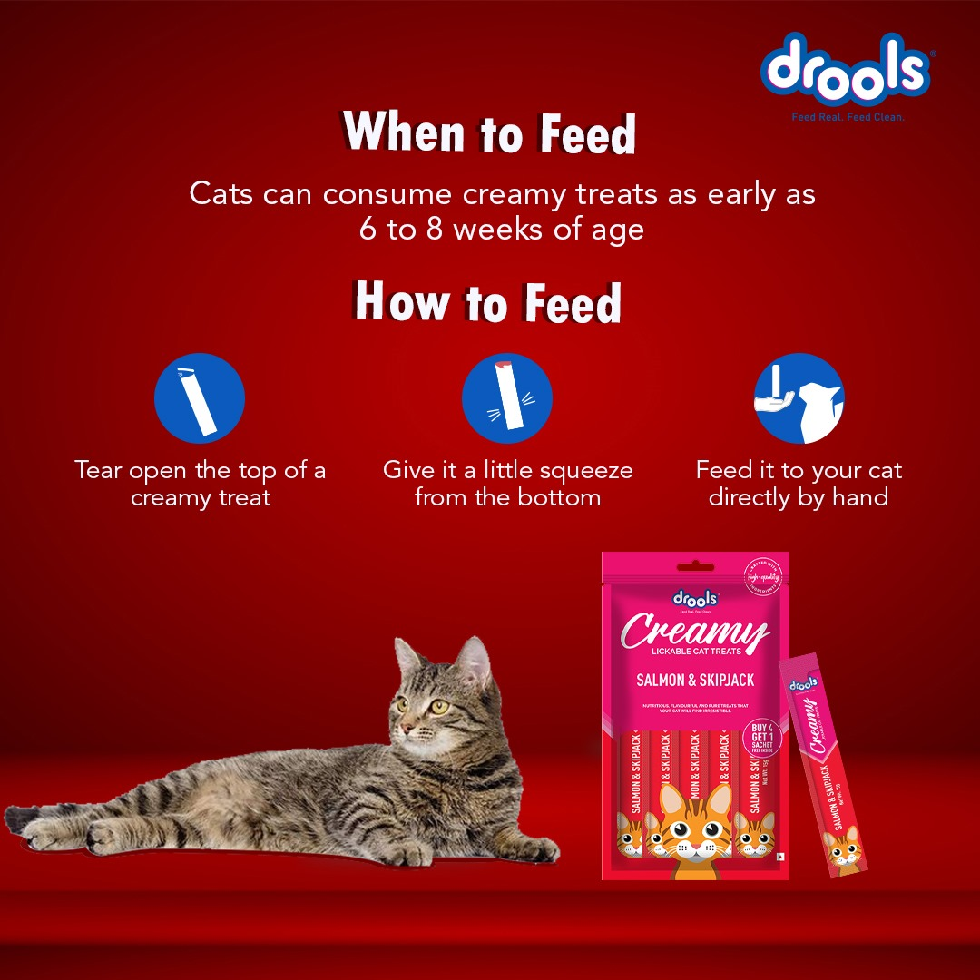 Drools Tuna & Bunito , Salmon & Skipjack and Real Chicken Creamy Cat Treats Combo Cats-Treats & Others Drools