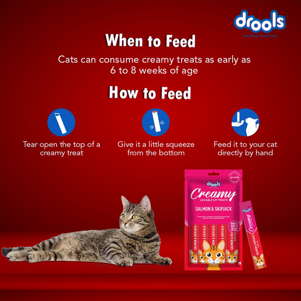Drools Tuna & Bunito , Salmon & Skipjack and Real Chicken Creamy Cat Treats Combo