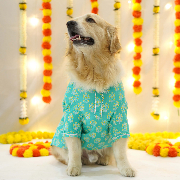 Pets Way Sanganeri Printed Kurta for Dogs (Teal)
