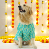 Pets Way Sanganeri Printed Kurta for Dogs (Teal) Dogs-Clothing & Accessories Pets Way Dropship