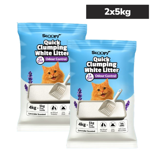 Scoopy Cat Litter | Lavender Scented | Quick Clumping | 100% Natural Bentonite White Sand (Buy 1 Get 1)