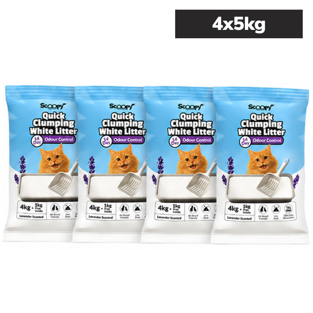 Scoopy Cat Litter | Lavender Scented | Quick Clumping | 100% Natural Bentonite White Sand (Buy 1 Get 1) Cats-Litter Scoopy 20kg (4x5kg)