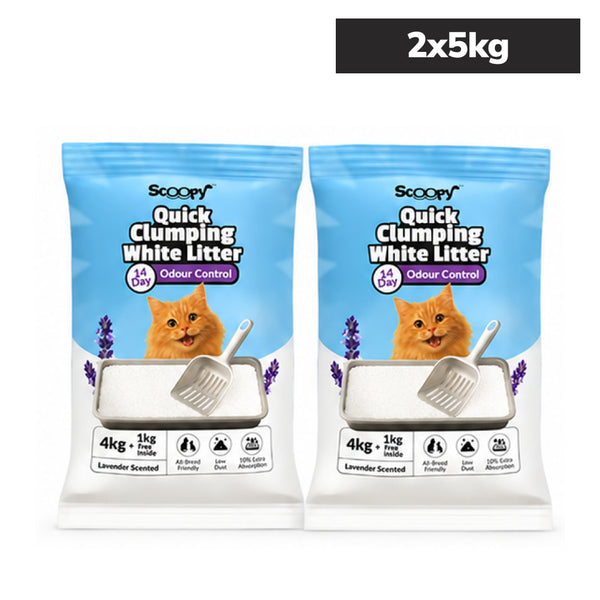 Scoopy Cat Litter | Lavender Scented | Quick Clumping | 100% Natural Bentonite White Sand (Buy 1 Get 1)
