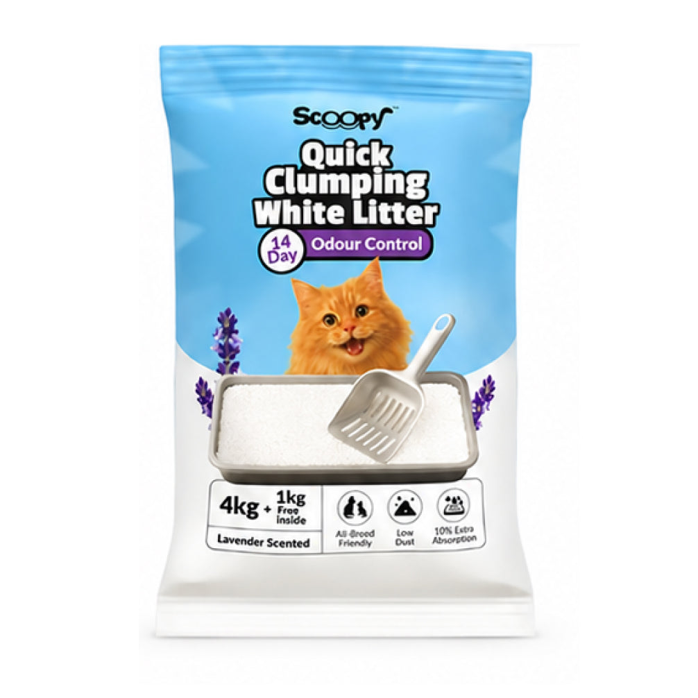 Scoopy Cat Litter | Lavender Scented | Quick Clumping | 100% Natural Bentonite White Sand (Buy 1 Get 1) Cats-Litter Scoopy 5kg
