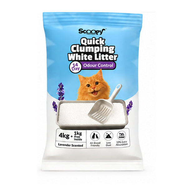 Scoopy Cat Litter | Lavender Scented | Quick Clumping | 100% Natural Bentonite White Sand