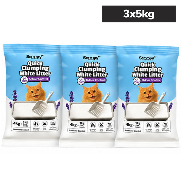 Scoopy Cat Litter | Lavender Scented | Quick Clumping | 100% Natural Bentonite White Sand (Buy 1 Get 1)