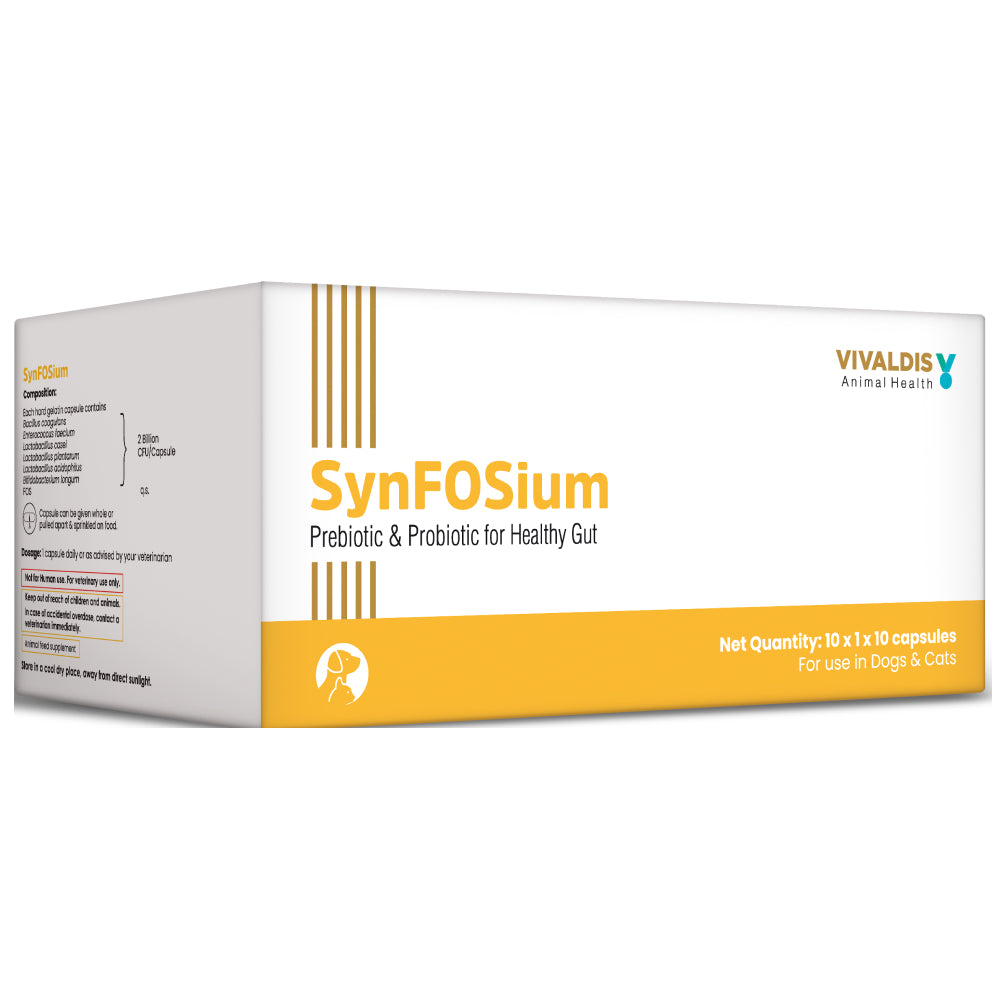 Vivaldis Synfosium Pre Probiotic Capsule for Dogs & Cats Both-Pharmacy Vivaldis Pharmacy