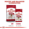 Royal Canin Medium Adult Dog Wet Food Dogs-Wet Food Royal Canin