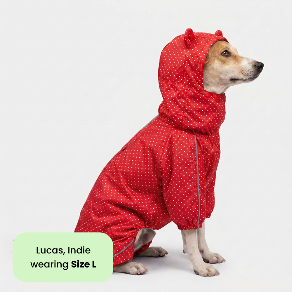 Skatrs Rain Ranger Raincoat for Dogs (Red) Dogs-Clothing & Accessories Skatrs