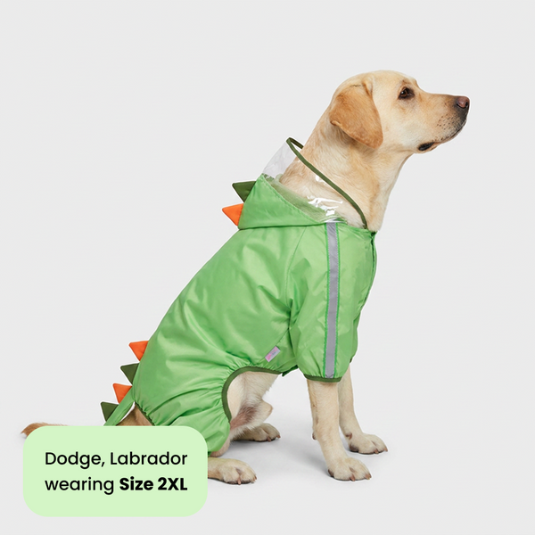 Barkbutler x Fofos Four Leg Dinosaur Raincoat for Dogs (Green)