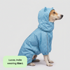 Skatrs Drizzle Dazzle Raincoat for Dogs (Light Blue) Dogs-Clothing & Accessories Skatrs