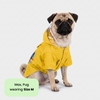Pets Way Mistiq Yellow Monsoon Fun Raincoat for Dogs Dogs-Clothing & Accessories Pets Way Dropship