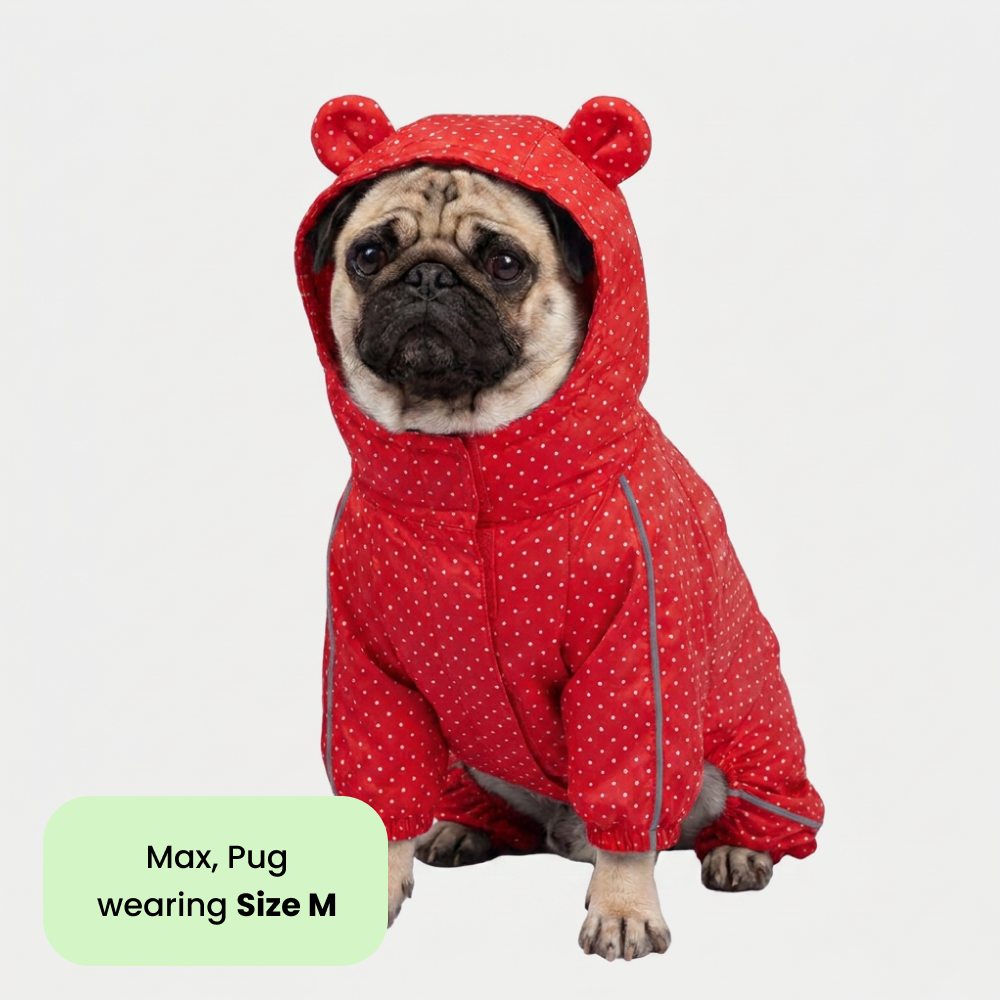Skatrs Rain Ranger Raincoat for Dogs (Red) Dogs-Clothing & Accessories Skatrs