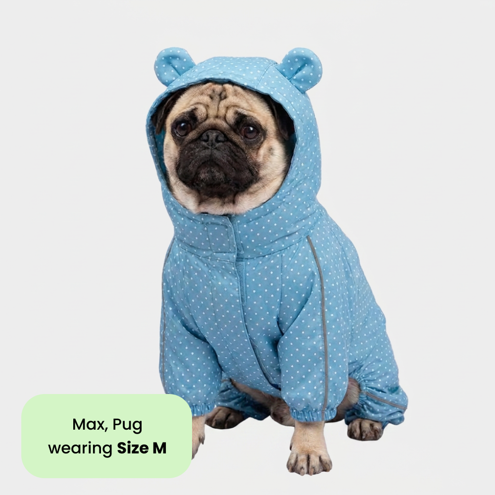 Skatrs Drizzle Dazzle Raincoat for Dogs (Light Blue) Dogs-Clothing & Accessories Skatrs