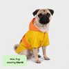 Thunder Dog Raincoat for Dogs (Yellow Orange) Dogs-Clothing & Accessories Pets Way Dropship