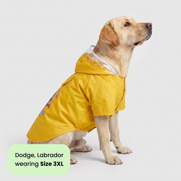 Pets Way Mistiq Yellow Monsoon Fun Raincoat for Dogs