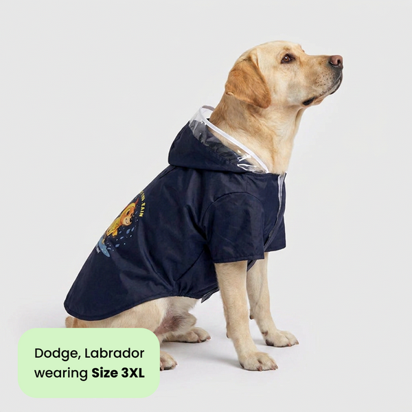 Pets Way Mistiq Coal Paw In The Rain Raincoat for Dogs