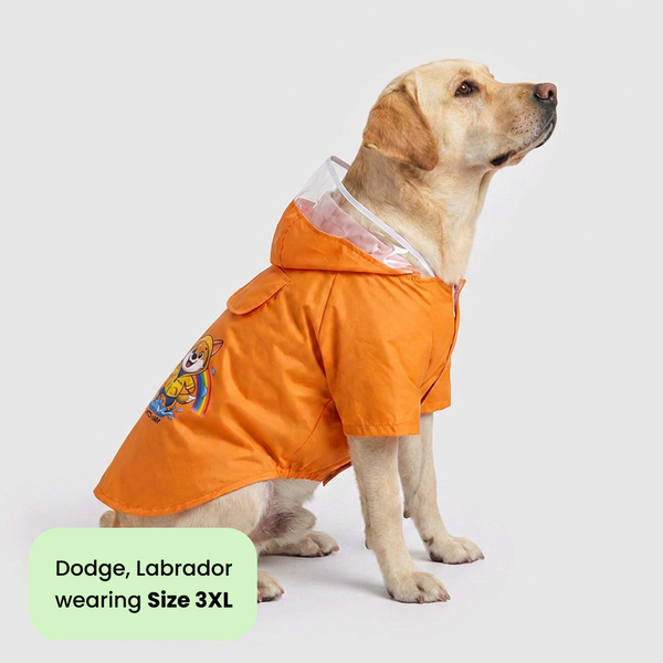 Pets Way Mistiq Orange Rainbhaw Raincoat for Dogs