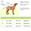 Skatrs 3 in 1 Adjustable Leash for Dogs (Ruby Red) Dogs-Collar, Leashes, harnesses Skatrs