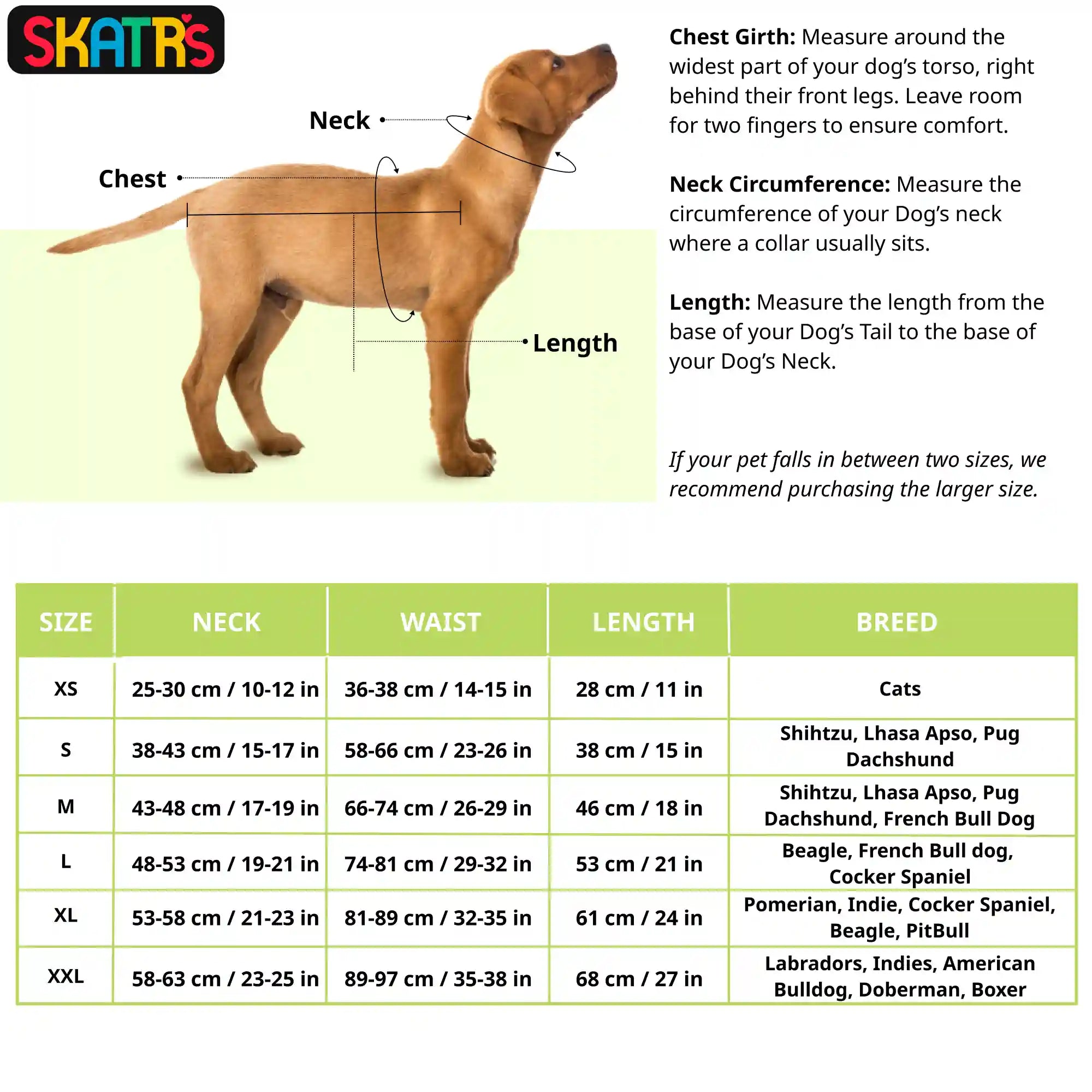 Skatrs Cotton Dress for Dogs and Cats (Lavender and White) Both-Clothing & Accessories Skatrs