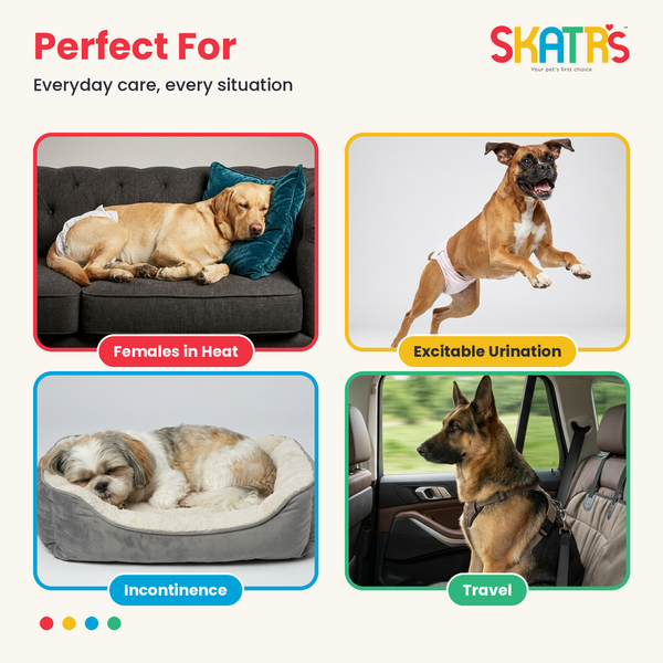 Skatrs Diapers for Female Dogs