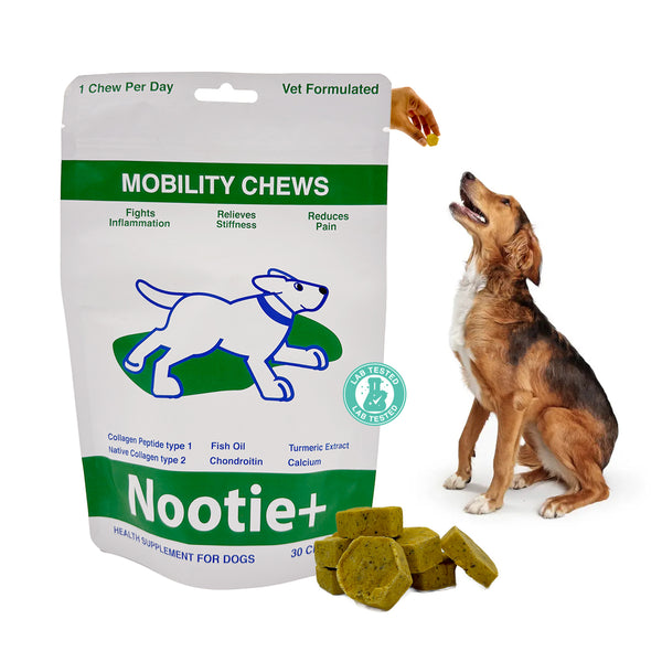 Nootie+ Joint & Bone Mobility Chews Supplement for Dogs