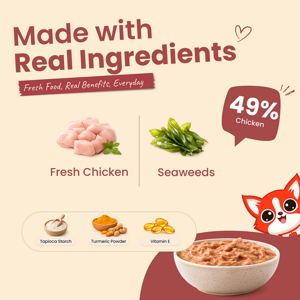 Nootie Nibblr Purr Chicken Gravy Cat Wet Food