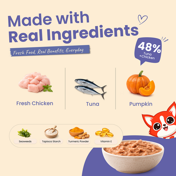 Nootie Nibblr Purr Tuna Gravy Cat Wet Food