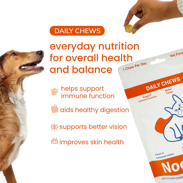 Nootie+ Multivitamin Daily Chews Supplement for Dogs