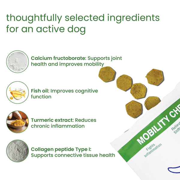 Nootie+ Joint & Bone Mobility Chews Supplement for Dogs