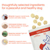 Nootie+ Multivitamin Daily Chews Supplement for Dogs Dogs-Health & Wellness Nootie