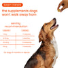 Nootie+ Multivitamin Daily Chews Supplement for Dogs Dogs-Health & Wellness Nootie